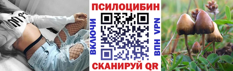 Псилоцибиновые грибы мухоморы  купить закладку  Красноярск 